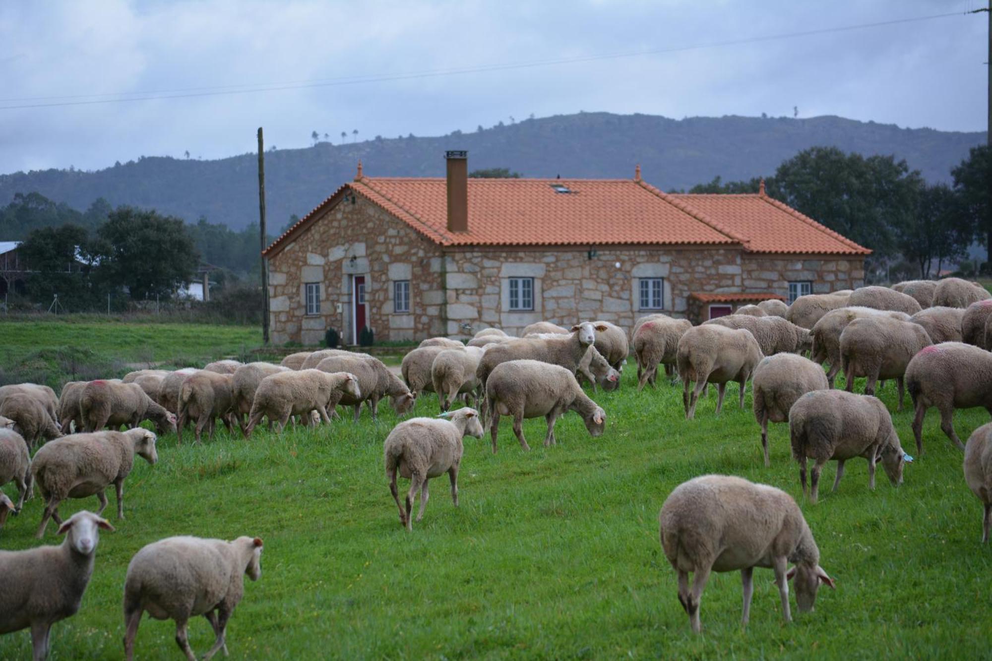 Turismo Rural 4Quintas Minhocal Luaran gambar