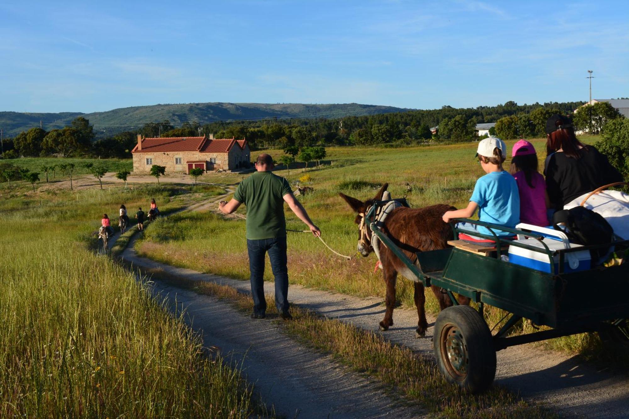 Turismo Rural 4Quintas Minhocal Luaran gambar