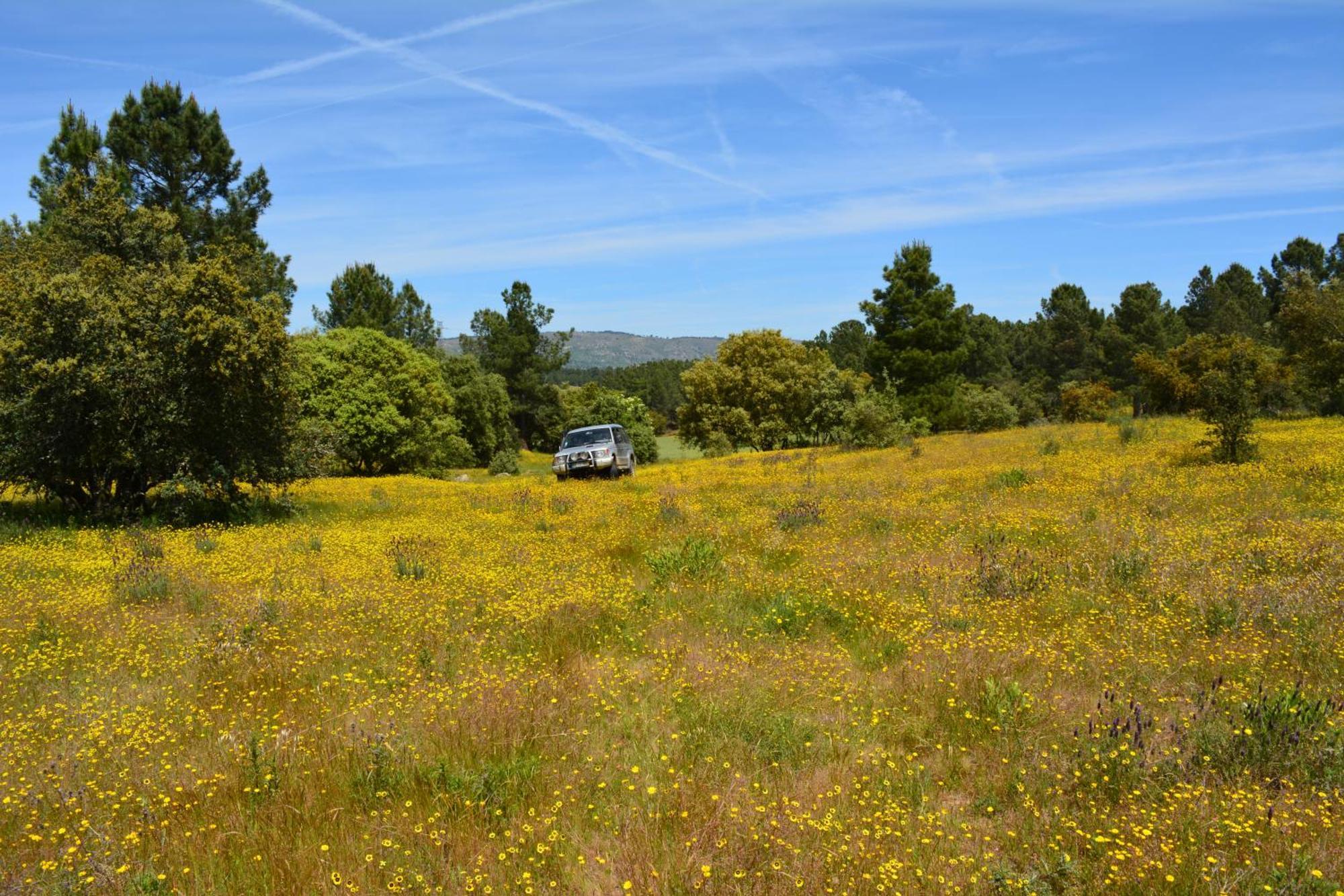 Turismo Rural 4Quintas Minhocal Luaran gambar